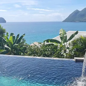 Joli Neuf , Petit Jardin Tranquille Dans , Le Diamant Martinique